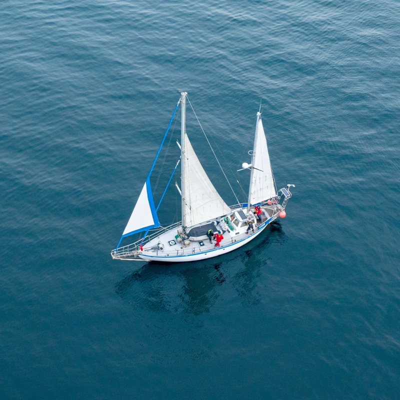 Porque elegir RH Dream consultora en Recursos Humanos en Tierra del fuego Programa de Liderazgo a Bordo – Velero Ksar El Programa de Liderazgo a Bordo del Velero Ksar es una experiencia práctica diseñada para desarrollar y fortalecer competencias clave como la toma de decisiones, comunicación efectiva, trabajo en equipo, atención al detalle, capacidad de adaptación y coordinación bajo presión. Durante la navegación, los participantes se dividirán en grupos y rotarán roles en diversas actividades que simulan situaciones reales a bordo. Estas actividades están diseñadas para evaluar habilidades tanto individuales como grupales, poniendo a prueba diferentes competencias de liderazgo. Actividades principales: Nudos y maniobras en muelle: Incluye la instalación de defensas, realización de nudos y maniobras para atracar el velero, destacando la importancia de la coordinación y la atención precisa a las instrucciones. Armado de velas y navegación: Los participantes izarán y ajustarán las velas, trabajando en equipo para garantizar seguridad y eficiencia en las maniobras. Simulación de rescate “Hombre al agua”: Se pondrá a prueba la capacidad de reacción rápida, toma de decisiones y cooperación ante una emergencia simulada. Toma de decisiones bajo presión: Frente a un escenario imprevisto, el equipo tendrá un tiempo limitado para analizar y resolver la situación, evaluando su pensamiento estratégico y organización. Uso del bote auxiliar (dingui): Se practicarán maniobras, traslados y uso de elementos de seguridad, asignando roles a través de sorteos para garantizar que cada participante experimente diferentes responsabilidades. Trabajo en equipo con tiempo límite: Actividad que desafía la coordinación y rapidez para subir y bajar equipamiento del dingui dentro de un tiempo establecido. Comunicación por radio handy: Se fortalecerá la comunicación clara y efectiva en traslados utilizando la radio, con foco en la escucha activa y el lenguaje preciso. Preparación de comidas y orden a bordo: Se rotarán tareas que incluyen desde la preparación de alimentos hasta el mantenimiento del orden, promoviendo la iniciativa y la cooperación. Timonear por GPS: Se trabajará la atención sostenida y la coordinación visomotora al seguir una ruta definida con calma y precisión. Al finalizar el programa, se realiza una evaluación integral basada en la observación de competencias conductuales como liderazgo, comunicación, trabajo en equipo, gestión del tiempo, resolución de problemas, adaptabilidad, responsabilidad y actitud proactiva. El objetivo principal no es solo enseñar técnicas náuticas, sino fomentar el desarrollo de habilidades blandas fundamentales para liderar y colaborar eficazmente en entornos desafiantes.